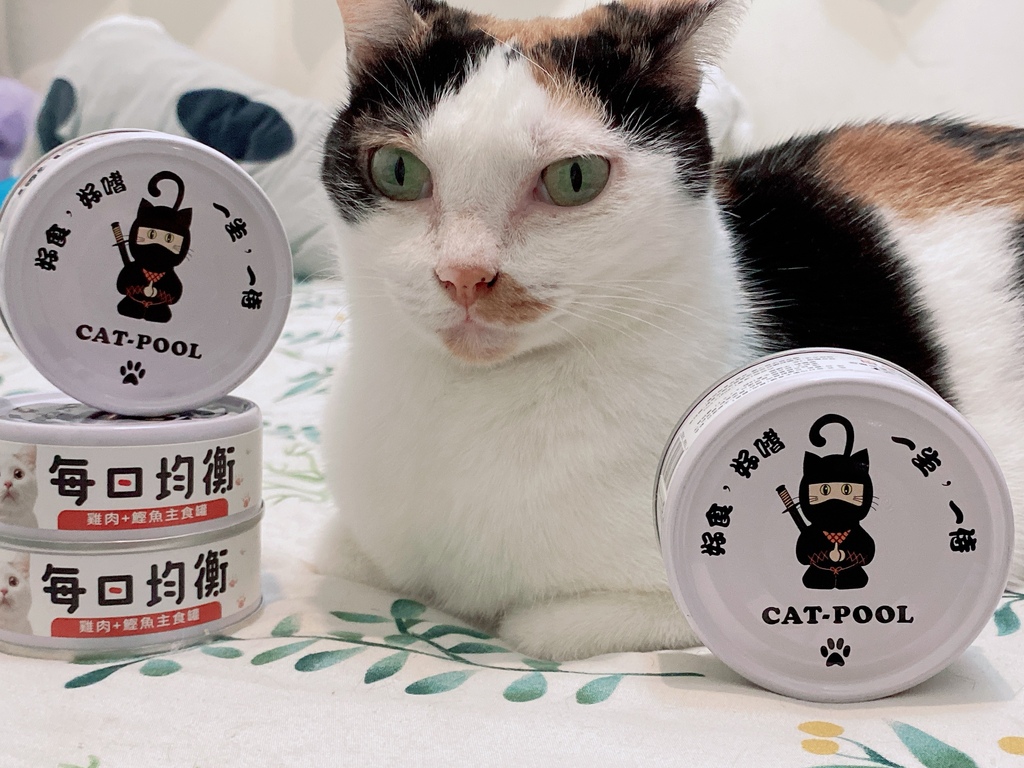 低敏、低磷主食罐推薦｜貓侍Catpool X 花花動物醫院｜