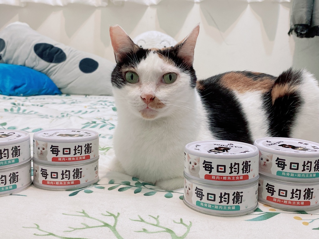 低敏、低磷主食罐推薦｜貓侍Catpool X 花花動物醫院｜