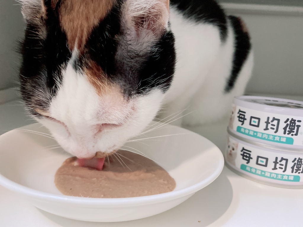 低敏、低磷主食罐推薦｜貓侍Catpool X 花花動物醫院｜