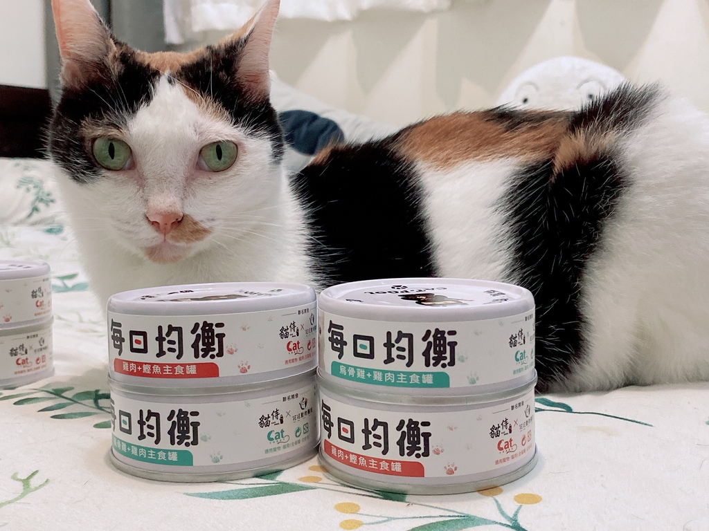 低敏、低磷主食罐推薦｜貓侍Catpool X 花花動物醫院｜