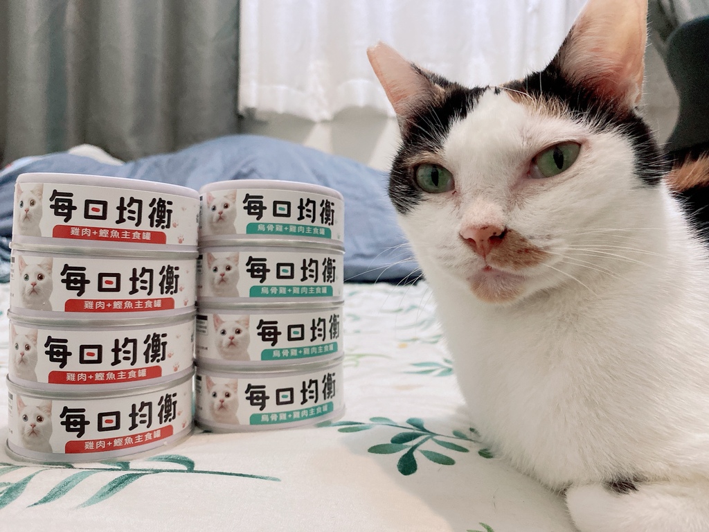 低敏、低磷主食罐推薦｜貓侍Catpool X 花花動物醫院｜