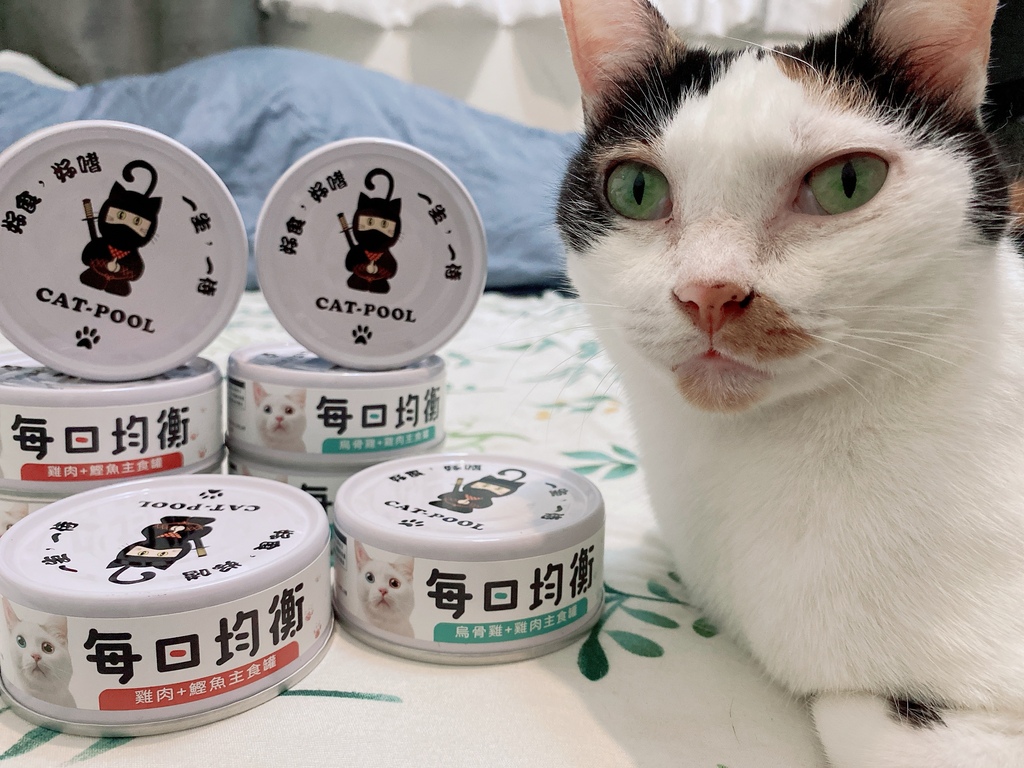 低敏、低磷主食罐推薦｜貓侍Catpool X 花花動物醫院｜