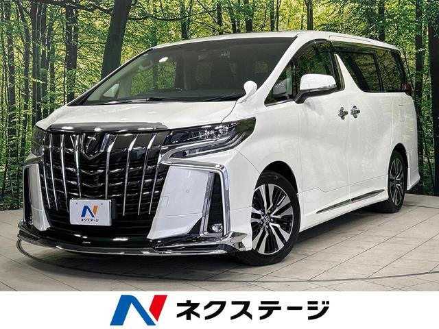 ２．５Ｓ　Ｃパッケージ　セーフティセンス　ツインムーンルーフ　フリップダウンモニター　モデリスタ　アルパイン１０インチナビ　両側電動スライドドア　レーダークルーズコントロール　ＥＴＣ　ドラレコ　バックカメラ