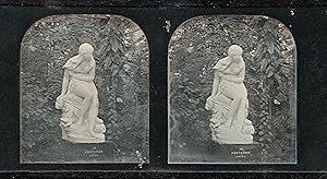 DOROTHEA (Daguerreotype Stereoview)