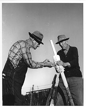 PHOTOGRAPH OF TWO APPALACHIAN MEN MAKING BROOMS