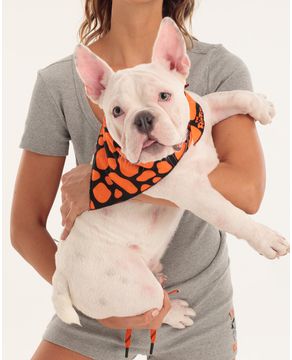 Bandana-Pet-Acuo-Flintstones-Familia