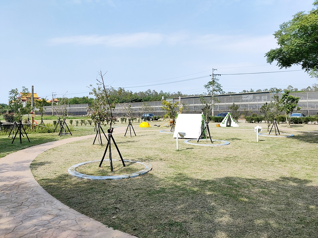 台中外埔一日遊｜水流東桐花步道 外埔彩繪稻田 黃金海芋田 星月大地 賞花美食景點一次滿足