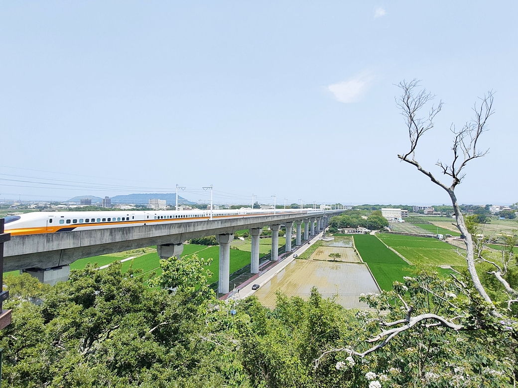 台中外埔一日遊｜水流東桐花步道 外埔彩繪稻田 黃金海芋田 星月大地 賞花美食景點一次滿足