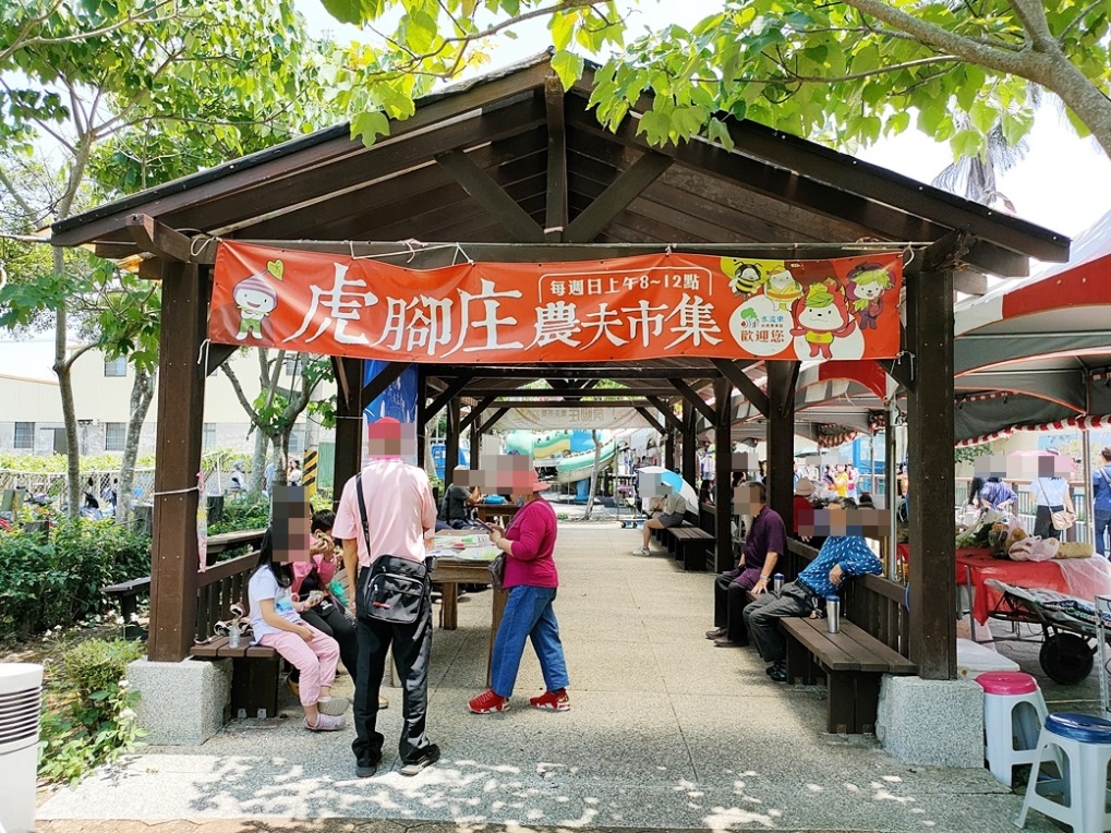 台中外埔一日遊｜水流東桐花步道 外埔彩繪稻田 黃金海芋田 星月大地 賞花美食景點一次滿足