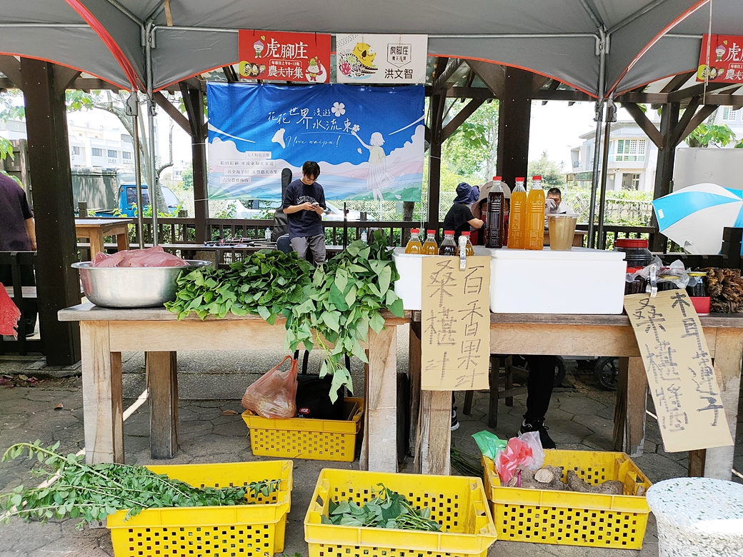 台中外埔一日遊｜水流東桐花步道 外埔彩繪稻田 黃金海芋田 星月大地 賞花美食景點一次滿足