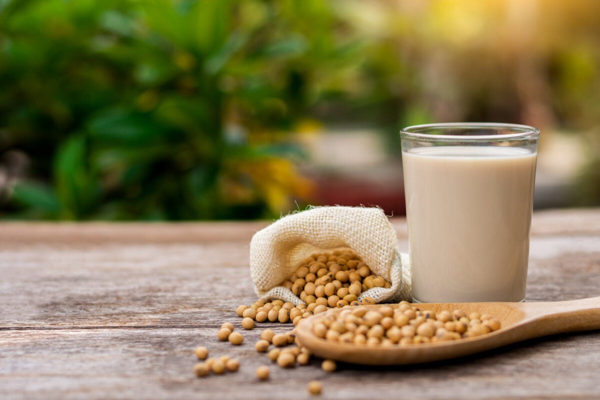 Photo shows a glass of soy milk, a wooden spoon, and a bag of soy beans on a wooden garden table