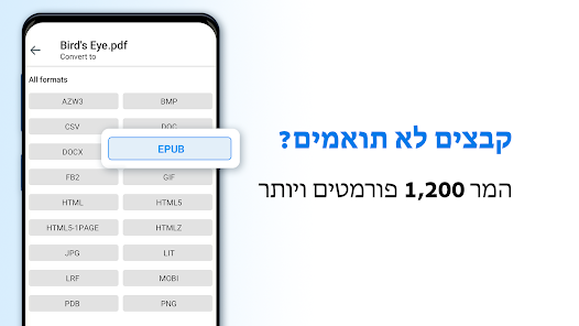 צילום מסך