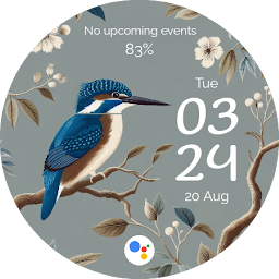 Imagen de icono EXD082: Bird Watch Face