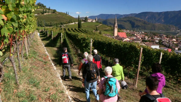 Winzerwanderwoche Tramin