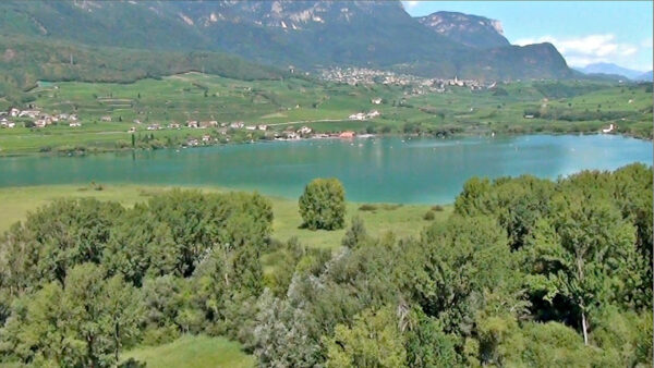 Biotope Area Lake Caldaro/Kaltern