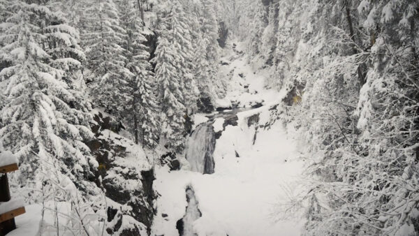 Reinbach-Wasserfälle im Winter