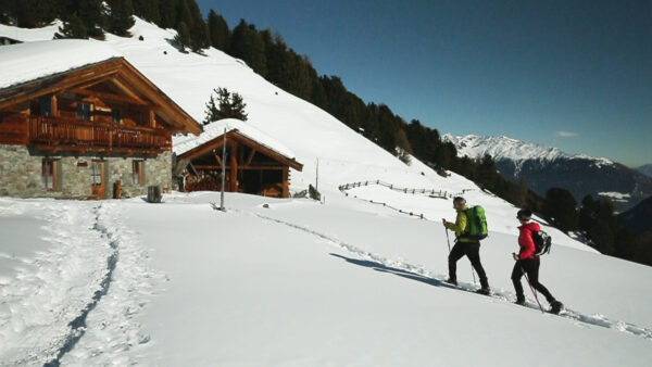 Snowshoe Hiking Tour Malga Tella 