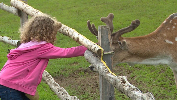 Gustav Mahler Wildpark