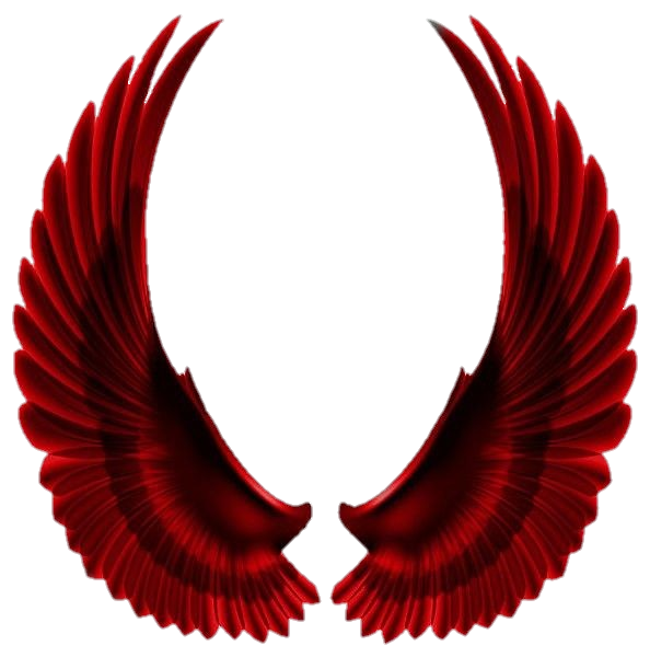 Wings PNG