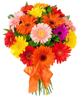 Bouquet flowers PNG