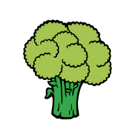 Broccoli PNG