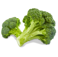 Broccoli PNG