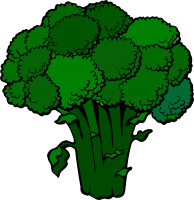 Broccoli PNG