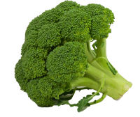 Broccoli PNG