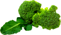 Broccoli PNG