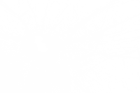 Broken glass PNG