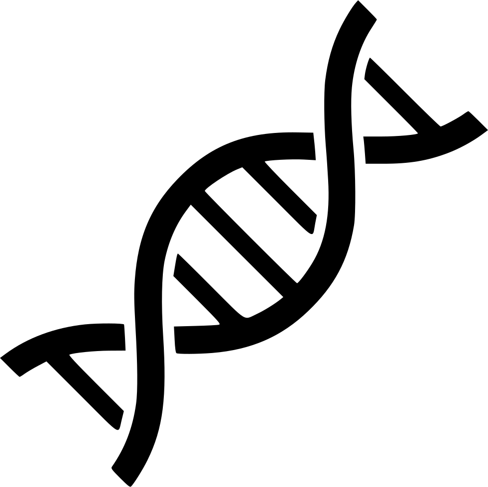 รวมกัน 95+ ภาพพื้นหลัง การ เชื่อม ต่อ สาย Dna ด้วย เอนไซม์ Dna ไล เกส ...