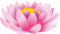 Lotus flower PNG