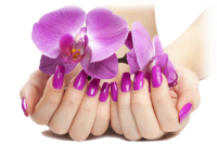 Nails manicure PNG