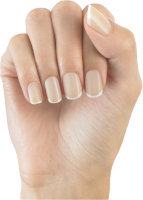 Nails PNG