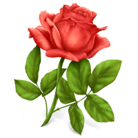 Pink rose png image, free picture download