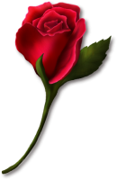 Rose PNG