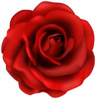 Rose PNG