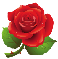 Rose PNG