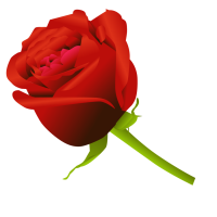 Rose PNG