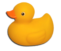 Rubber duck PNG