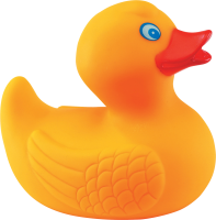 Rubber duck PNG