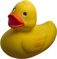 Rubber duck PNG