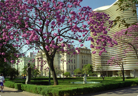 Praça da Liberdade - Circuito Liberdade