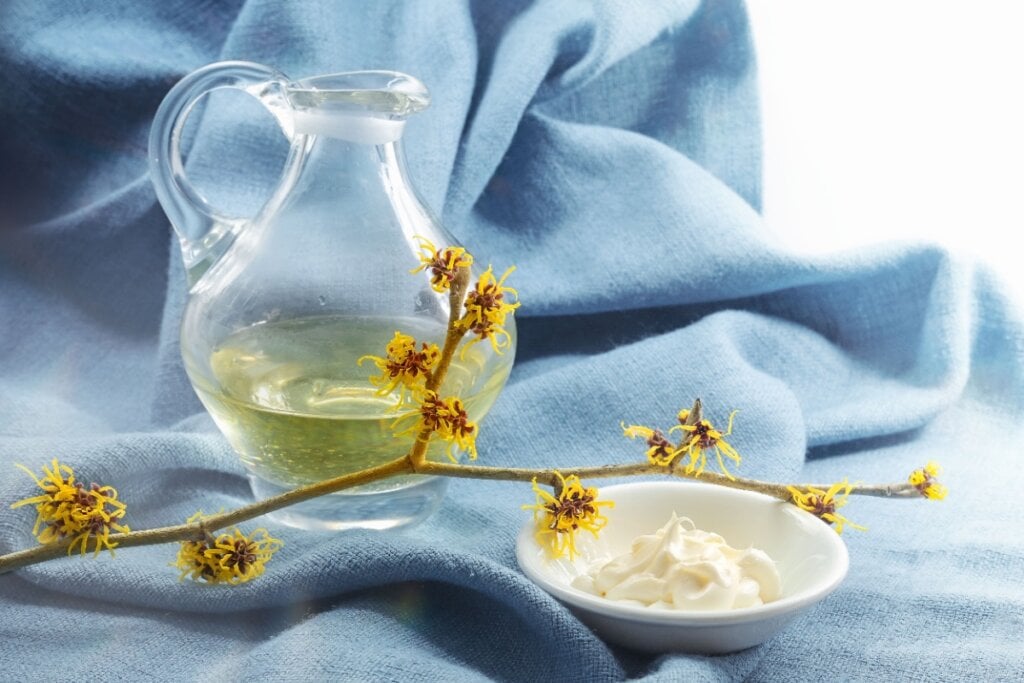 Recipiente de vidro transparente contendo líquido claro, ao lado de ramos de hamamélis com flores amarelas, sobre um fundo de tecido azul, e de pote com creme branco