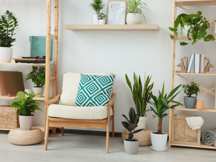 7 plantas para ter em apartamento