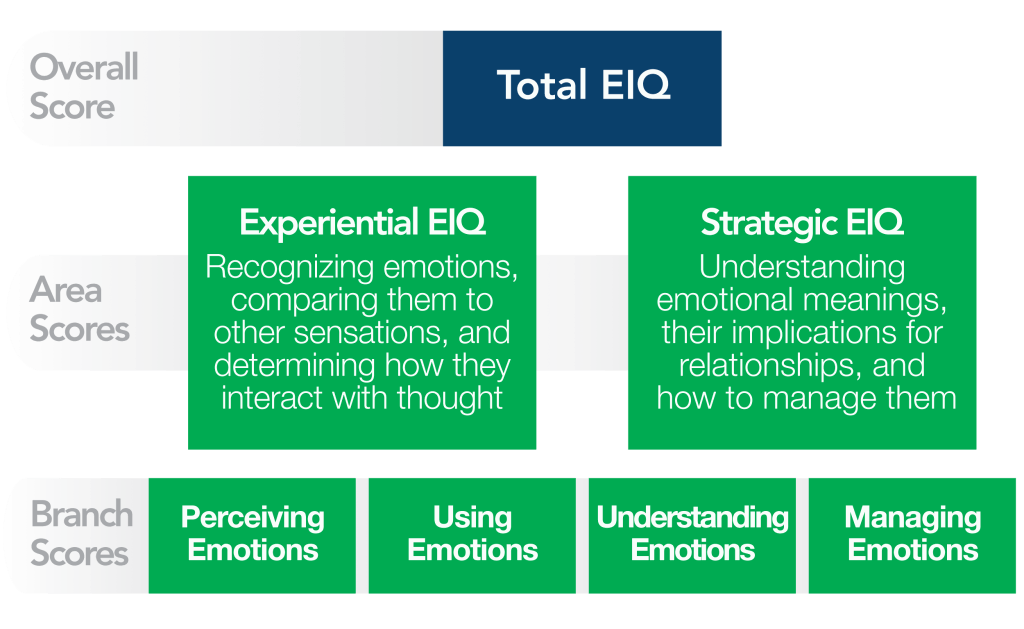 Mayer-Salovey-Caruso Emotional Intelligence Test