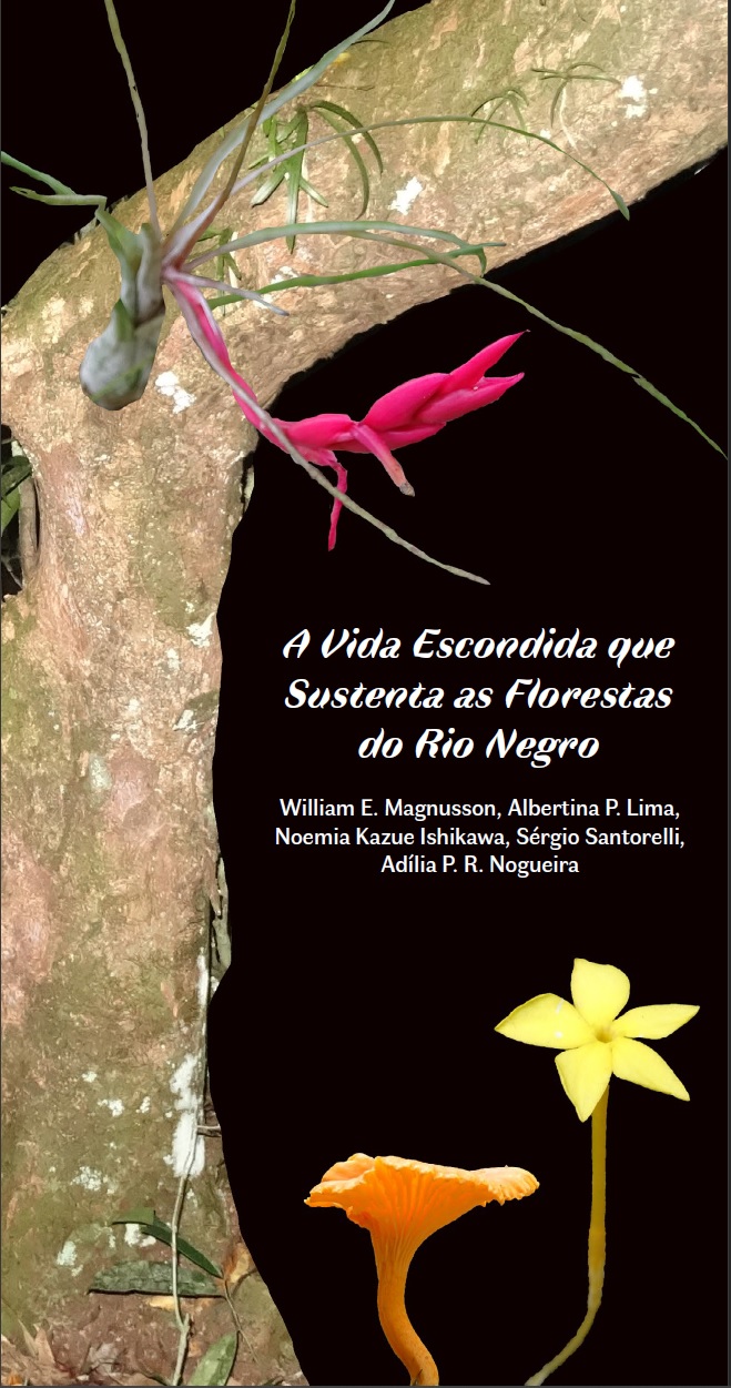 A vida escondida que sustenta as florestas do Rio Negro