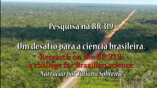 Pesquisa na BR-319