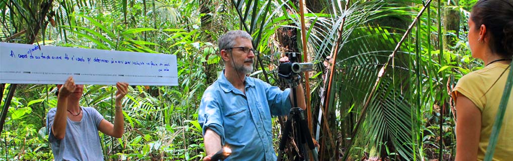 See the videos about PPBio groups monitoring: http://ppbio.inpa.gov.br/instalacao/videos.
Photo: Renato Cintra
