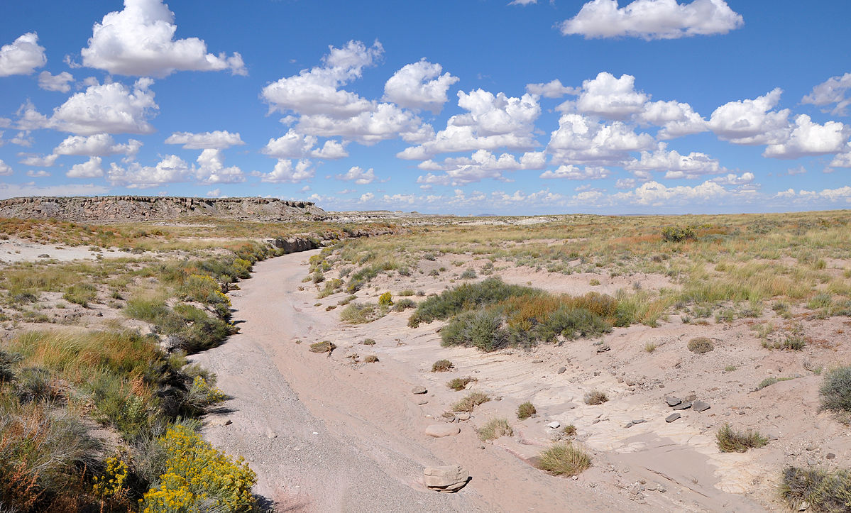 Dry sandy stream bed surrounded by a desert landscape with scrubby vegetation.